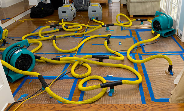 Professional Water Damage Restoration technician working in Flowery Branch, GA